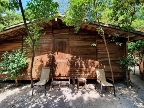 Chalet near Rome, in a park with shared swimming pool